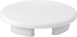 7/8" WHITE FINISH PLUG(100)